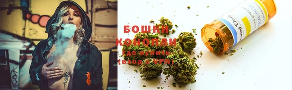 ГАЛЛЮЦИНОГЕННЫЕ ГРИБЫ Армянск