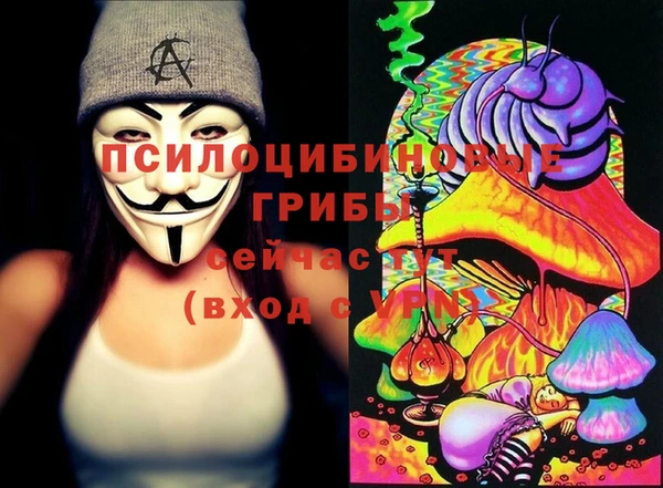 прущая мука Арсеньев