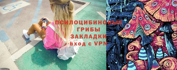 а пвп мука Нея