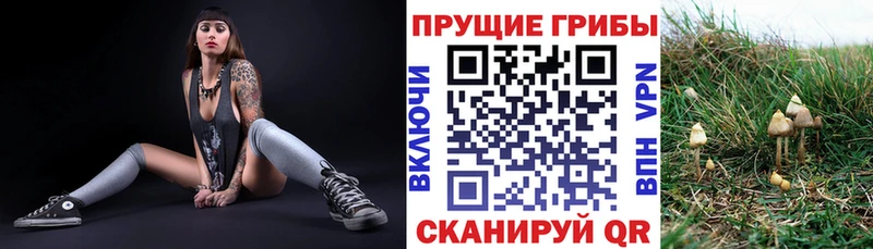 Галлюциногенные грибы GOLDEN TEACHER  как найти закладки  omg как войти  Чернушка 