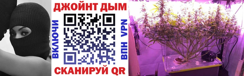 как найти закладки Чернушка Конопля MAZAR